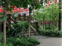 -南宫五洲植物乐园