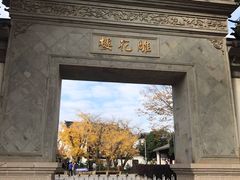 -东山雕花楼