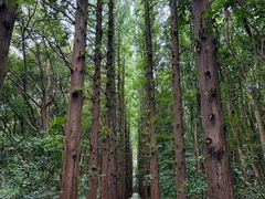 -同里国家湿地公园