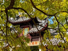 -西园戒幢律寺