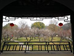 -香雪海