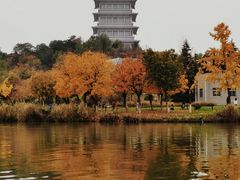 -西安世博园