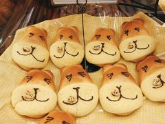 蜂蜜熊-都恩客(高岛屋百货店)