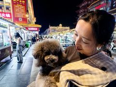 -鼓楼夜市
