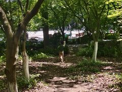 -南山植物园