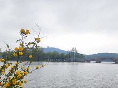 -渤公岛生态公园