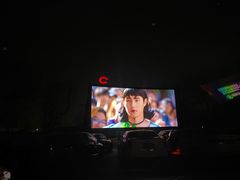 -枫花园汽车电影院(朝阳公园店)