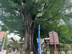 -医王山·飞騨国分寺