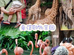 -长鹿旅游休博园