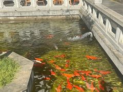 -麒麟小院·老九江菜(安平路店)