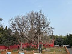 -终南山古楼观历史文化景区