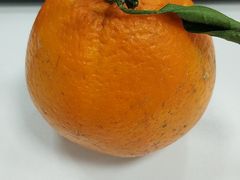 -韩盛·盛江山自助料理(于洪新玛特店)