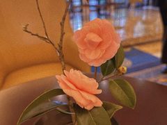 -福建鲤鱼洲酒店