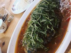 -老字号怡玺·藿香雅鱼(20年雅安店)