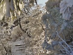 -崂山巨峰游览区