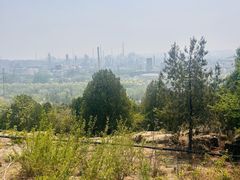 -白水寺森林公园