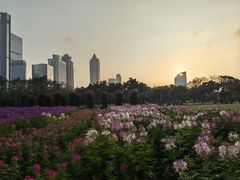 -万绿园
