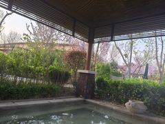 -大连金石滩绿发温泉假日酒店