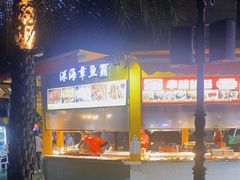 -三亚海昌梦幻海洋不夜城