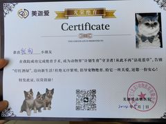-美迦爱-牙专科·兔科·骨科诊疗中心(北苑店)