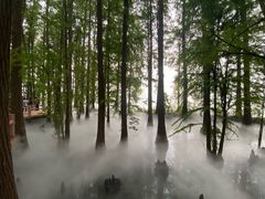 -东湖落雁景区