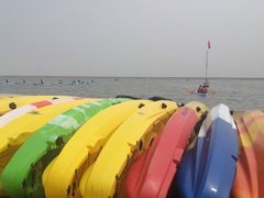 -碧海金沙