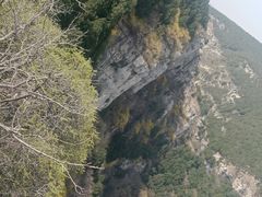 -佛慧山