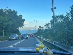 -玫瑰海岸文化旅游度假区