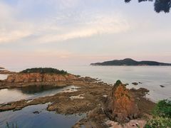 -北方饺子王·海肠捞饭·海鲜锅(山大店)