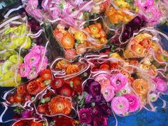 -循礼门鲜花花市(武汉循礼门店)