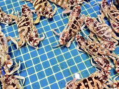 -三亚火车头万人海鲜广场