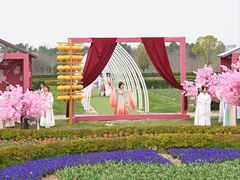 -金卉庄园