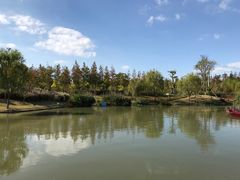 -上海长兴岛郊野公园