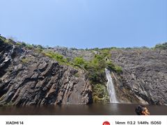 -上海辰山植物园