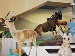 -陕西自然博物馆