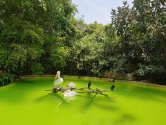 -珠海长隆海洋王国