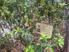 -映月湖公园