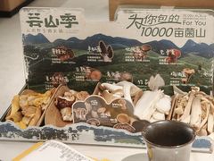 -芸山季·云南山珍菌火锅(南翔印象城MEGA店)