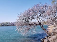-颐和园