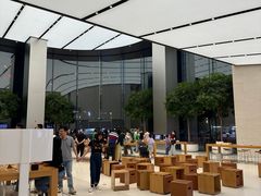 -Apple零售店(苏州店)