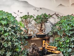 -蘇河湾·新鲁菜·泰山宴老店