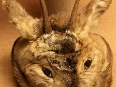 -呼伦贝尔民族博物馆