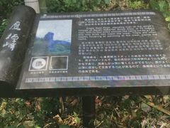 -泽雅七瀑涧景区