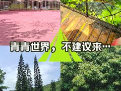 -青青世界
