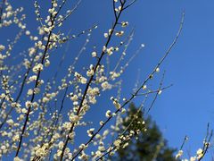 -湖南嵩云山国家森林公园