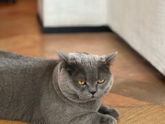 -Me Coffee下午茶艺术空间