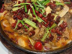 -老板恋上鱼(恒隆广场店)