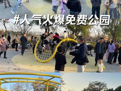 -澹台湖公园