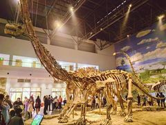 -自贡恐龙博物馆