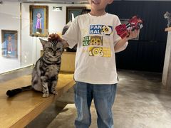 -more than meow吴止猫主题餐厅(承德 中船汇店)